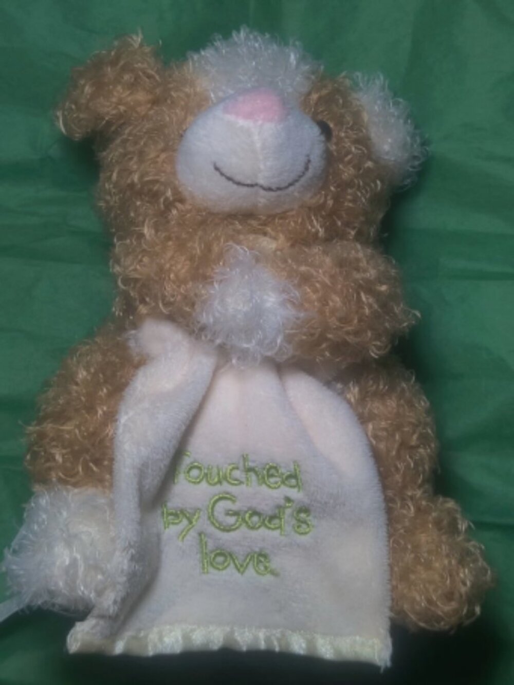 Hallmark Precious Blessings Dog Plush Touched By God's Love 6"